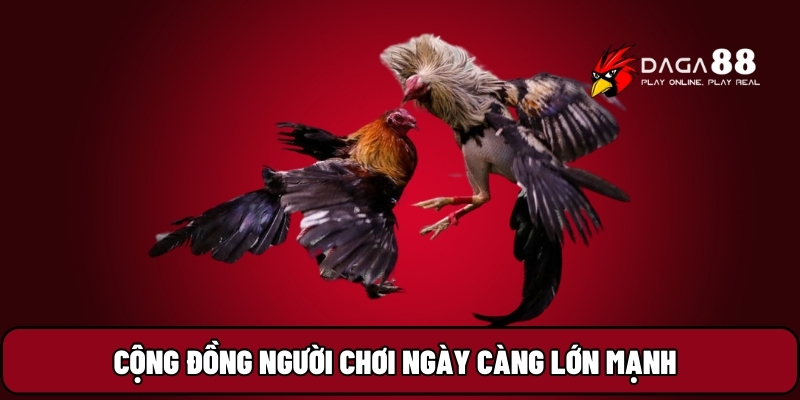 Cộng đồng người chơi ngày càng lớn mạnh