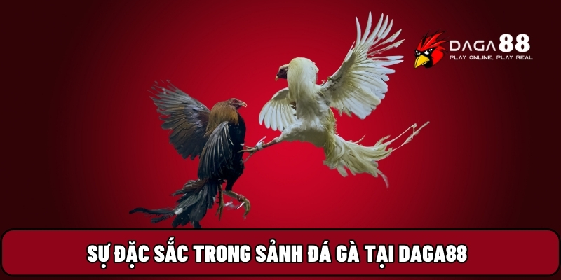 Sự đặc sắc trong sảnh đá gà tại Daga88