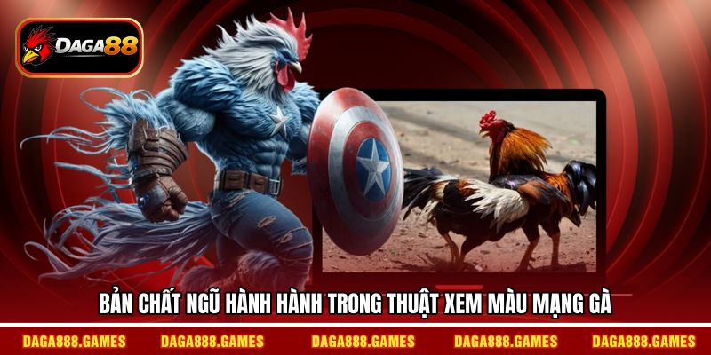 Bản chất ngũ hành hành trong thuật xem màu mạng gà