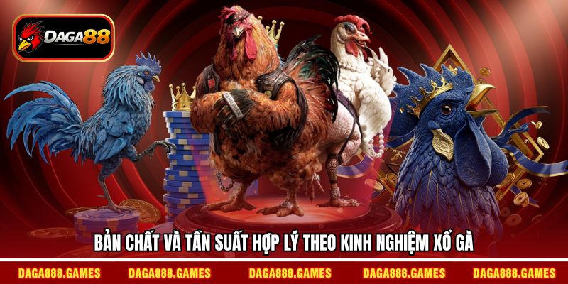Bản chất và tần suất hợp lý theo kinh nghiệm xổ gà