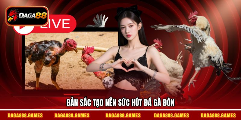 Bản sắc tạo nên sức hút đá gà đòn