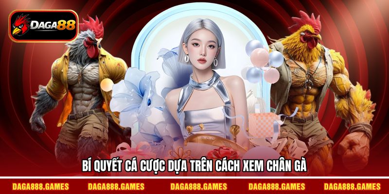 Bí quyết cá cược dựa trên cách xem chân gà