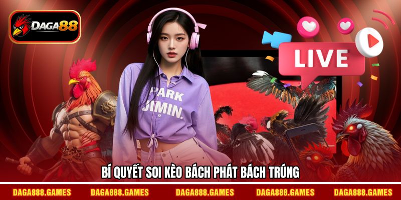 Bí quyết soi kèo bách phát bách trúng