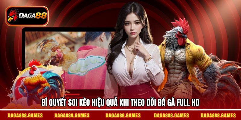 Bí quyết soi kèo hiệu quả khi theo dõi đá gà full HD
