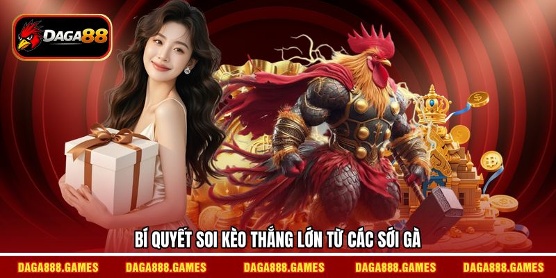 Bí quyết soi kèo thắng lớn từ các sới gà