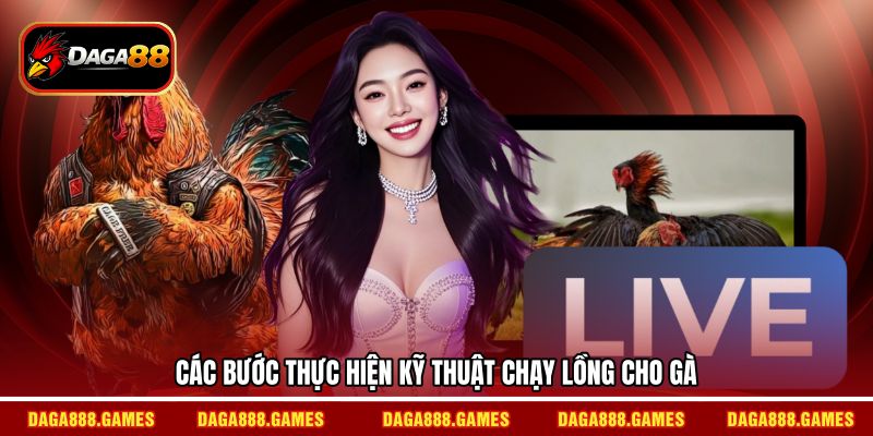 Các bước thực hiện kỹ thuật chạy lồng cho gà