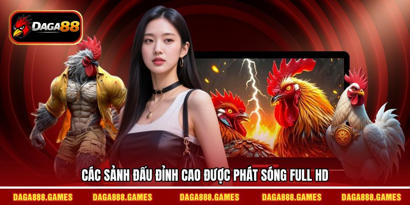 Các sảnh đấu đỉnh cao được phát sóng full HD