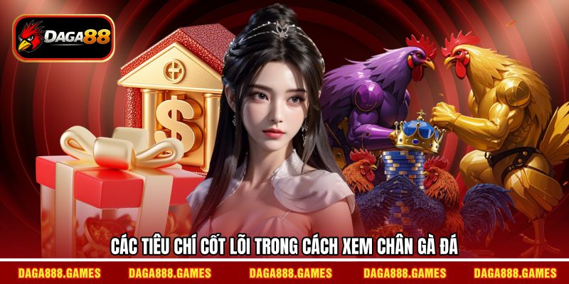 Các tiêu chí cốt lõi trong cách xem chân gà đá