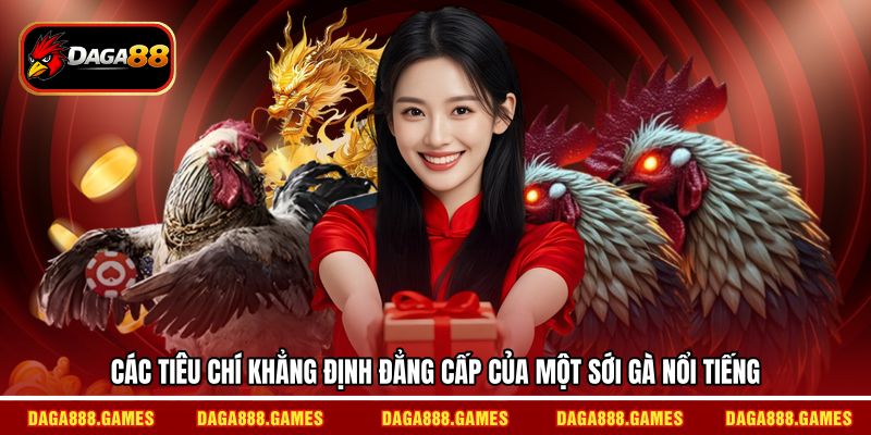 Các tiêu chí khẳng định đẳng cấp của một sới gà nổi tiếng