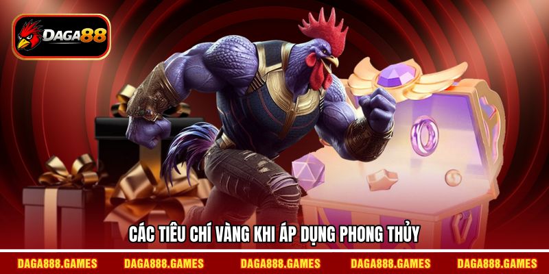 Các tiêu chí vàng khi áp dụng phong thủy
