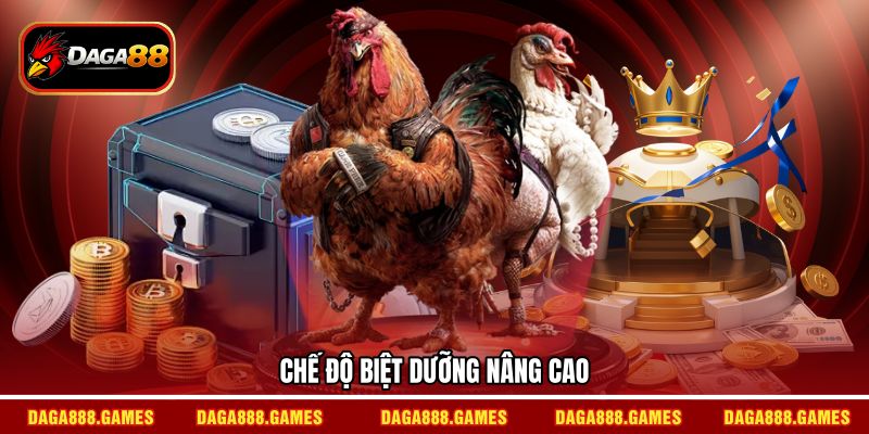 Chế độ biệt dưỡng nâng cao