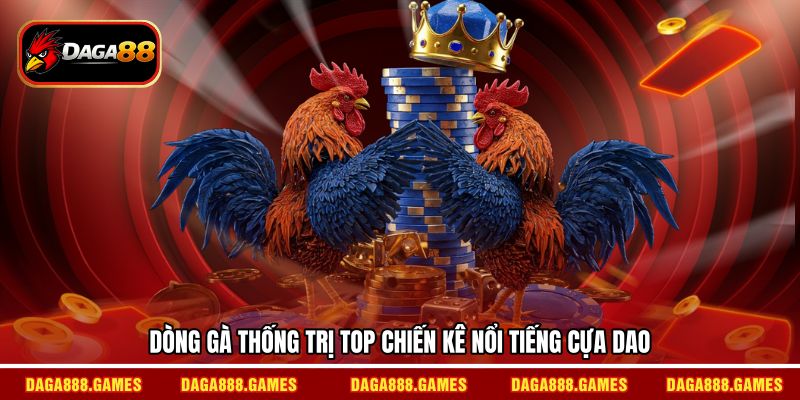 Dòng gà thống trị top chiến kê nổi tiếng cựa dao