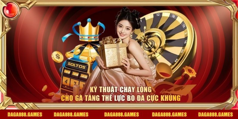 kỹ thuật chạy lồng cho gà