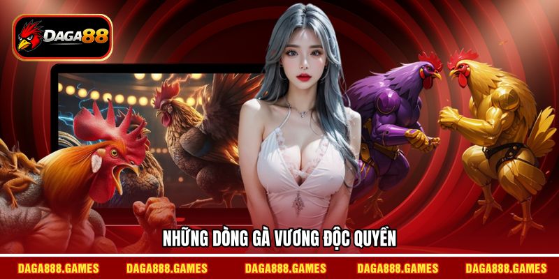 Những dòng gà vương độc quyền