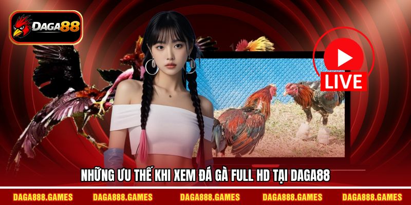 Những ưu thế khi xem đá gà full HD tại DAGA88