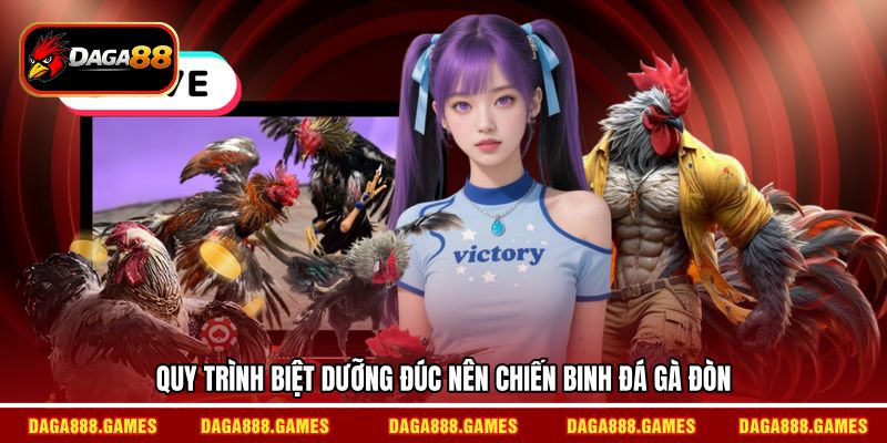 Quy trình biệt dưỡng đúc nên chiến binh đá gà đòn