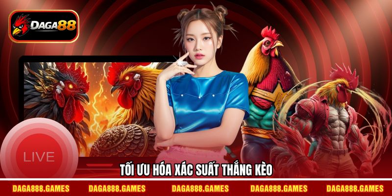 Tối ưu hóa xác suất thắng kèo