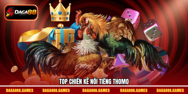 Top chiến kê nổi tiếng Thomo