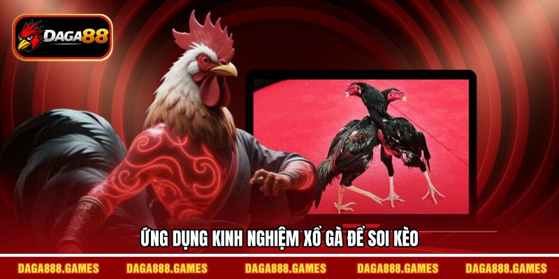 Ứng dụng kinh nghiệm xổ gà để soi kèo