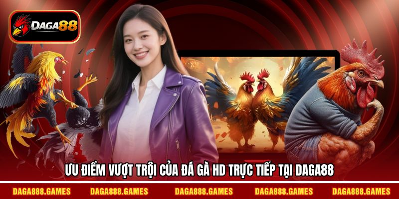 Ưu điểm vượt trội của đá gà HD trực tiếp tại DAGA88