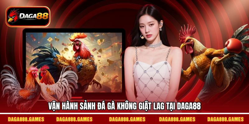 Vận hành sảnh đá gà không giật lag tại DAGA88